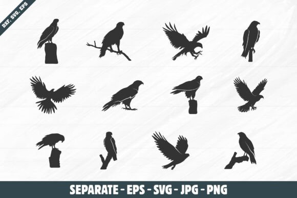 Dynamic Hawk Silhouette Set & Eagle SVG Design Assets